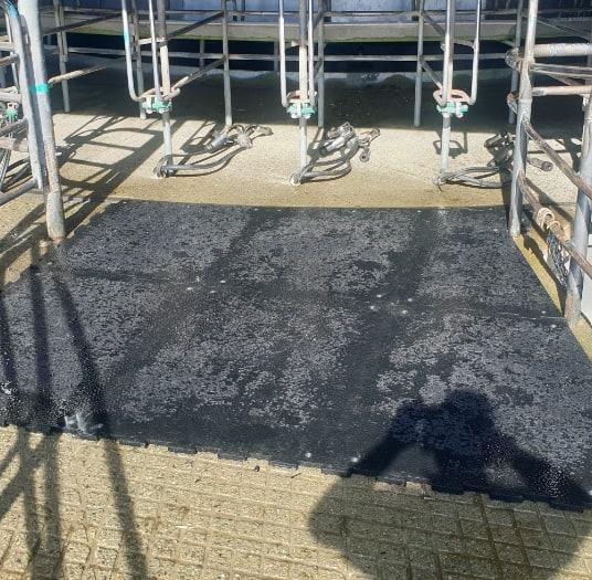 Rubber Matting for Dairy Farms